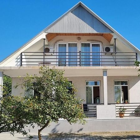 Hotel David Dali House Batumi Esterno foto